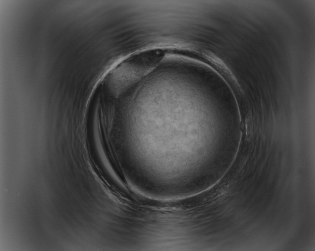 X0000052640436200507160201