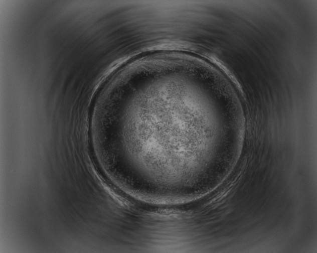 X0000052640437200507160201