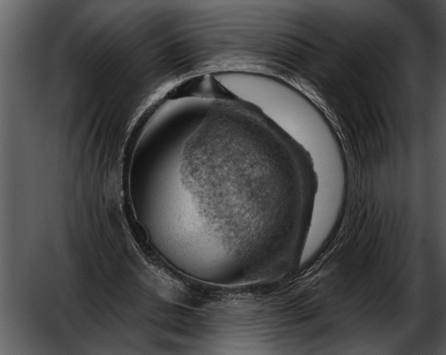 X0000052640438200507160201