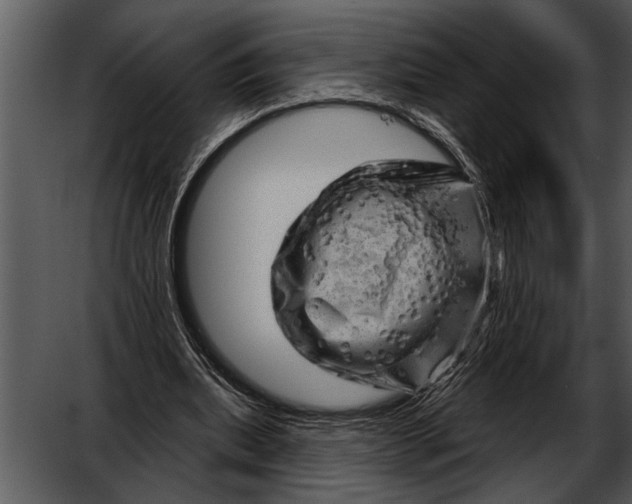 X0000052640439200507160201