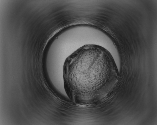 X0000052640440200507160201