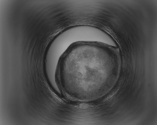 X0000052640441200507160201