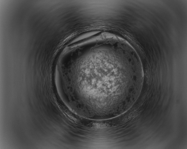 X0000052640442200507160201