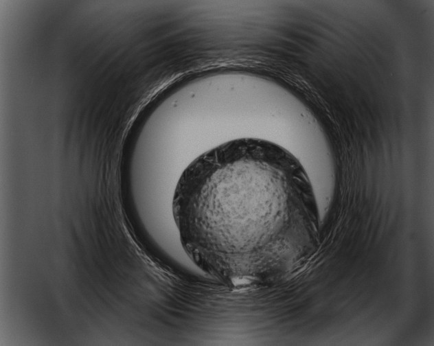 X0000052640444200507160201