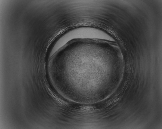 X0000052640446200507160201