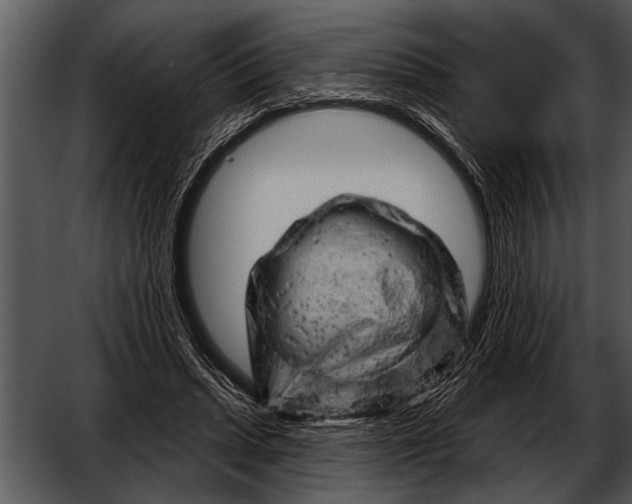 X0000052640447200507160201