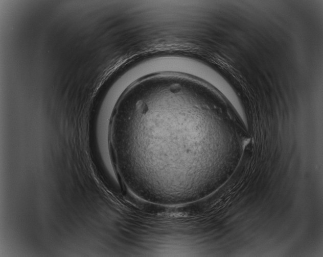 X0000052640448200507160201