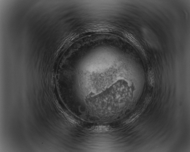 X0000052640449200507160201