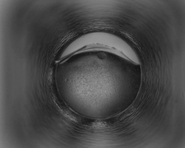 X0000052640451200507160201