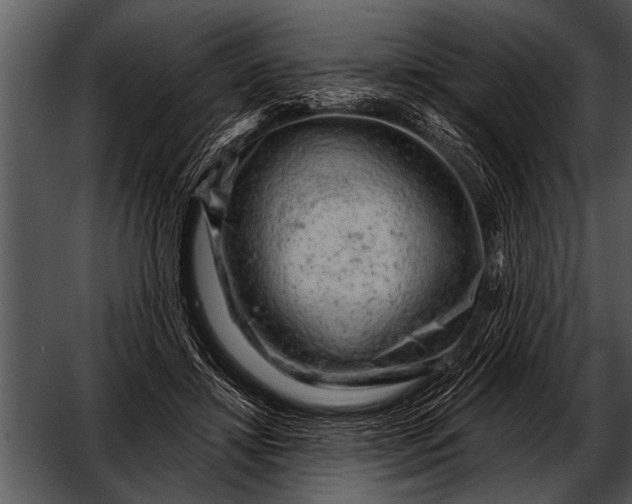 X0000052640452200507160201