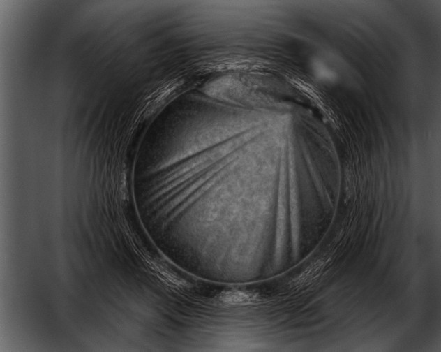 X0000052640453200507160201