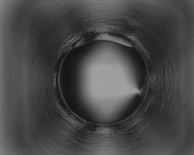 X0000052640454200507160201