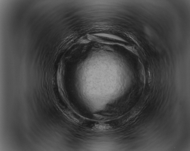 X0000052640455200507160201