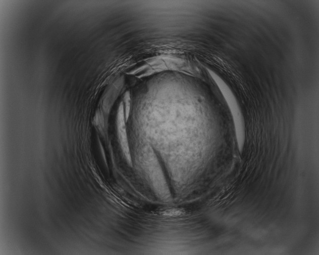 X0000052640456200507160201