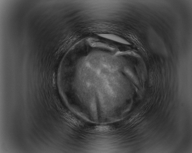 X0000052640457200507160201