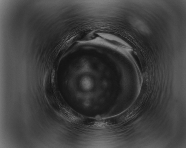 X0000052640458200507160201