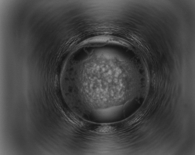 X0000052640459200507160201