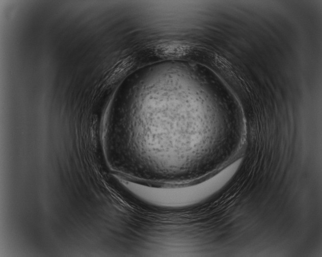 X0000052640460200507160201