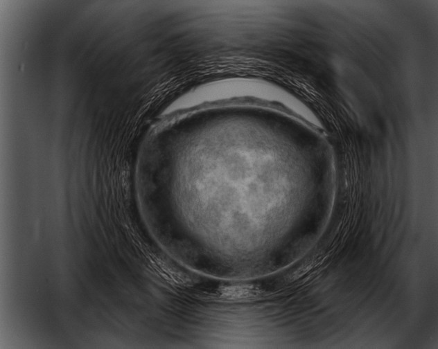 X0000052640461200507160201