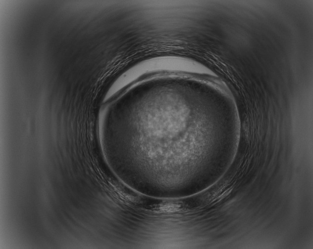 X0000052640462200507160201