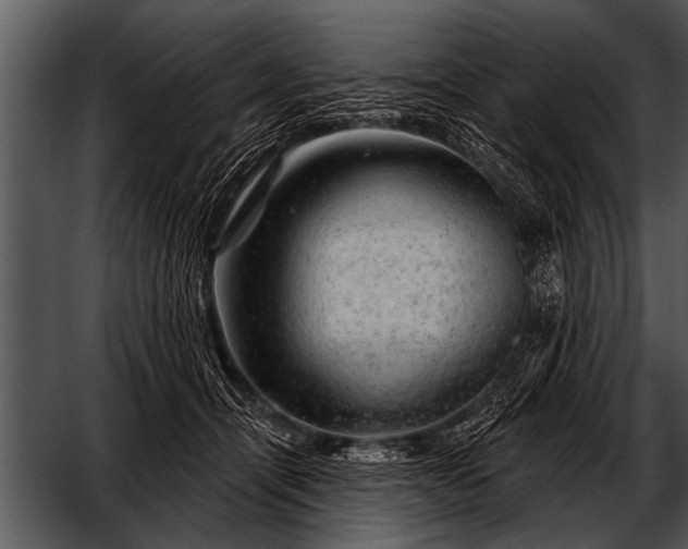 X0000052640464200507160201