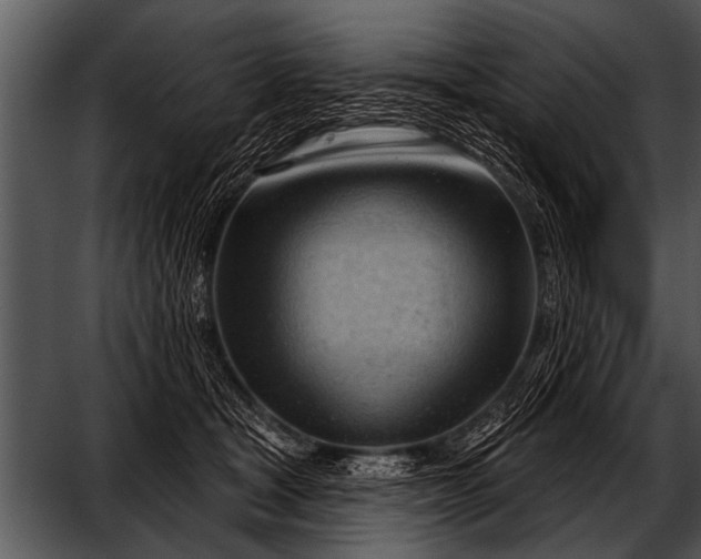 X0000052640465200507160201