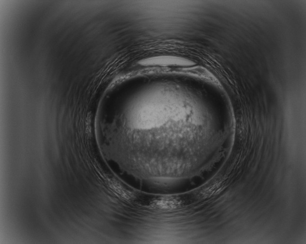 X0000052640466200507160201