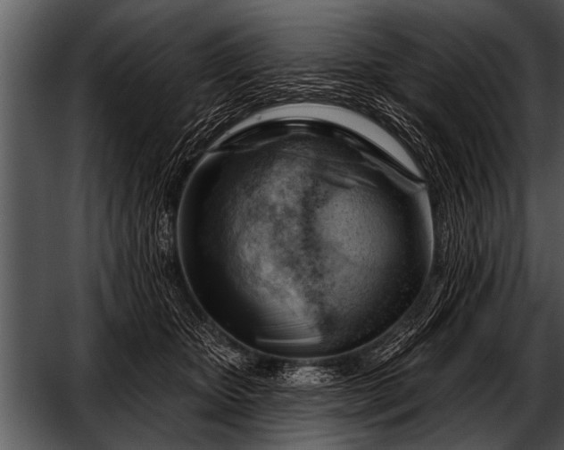 X0000052640467200507160201