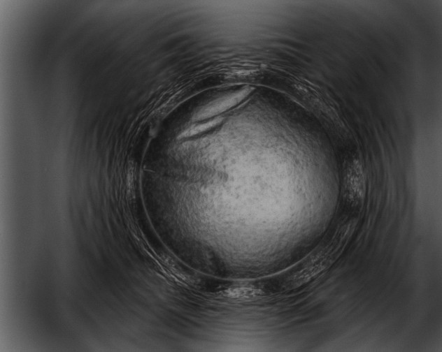 X0000052640468200507160201