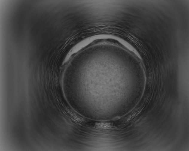 X0000052640469200507160201