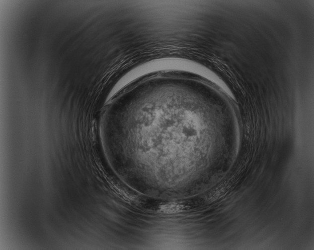 X0000052640470200507160201