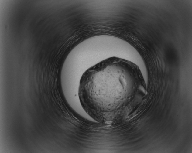 X0000052640471200507160201