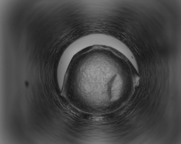 X0000052640472200507160201