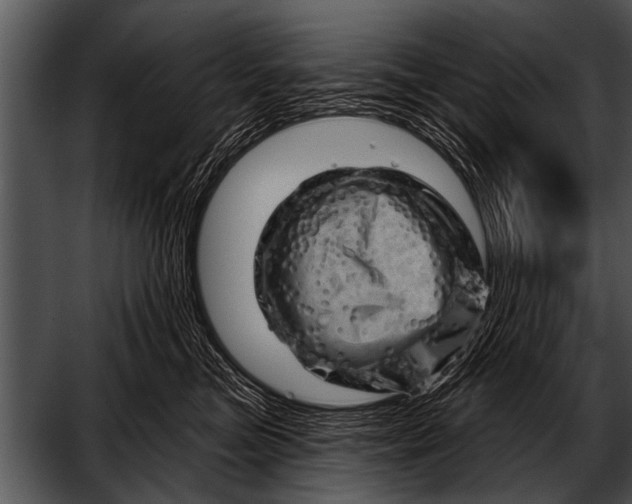 X0000052640473200507160201