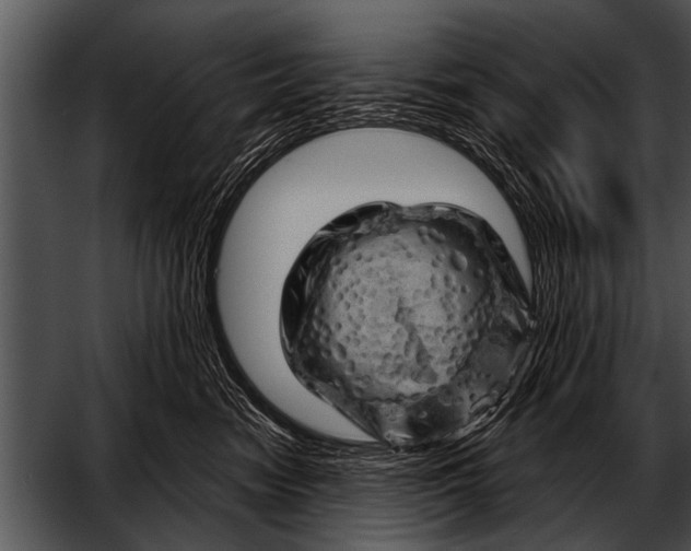 X0000052640474200507160201