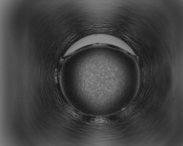 X0000052640475200507160201