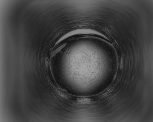 X0000052640476200507160201