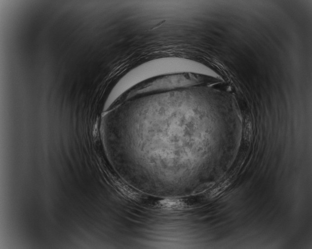 X0000052640477200507160201