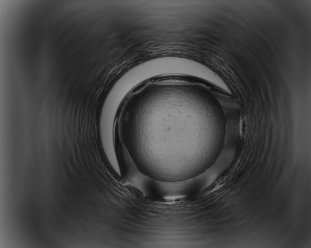 X0000052640478200507160201