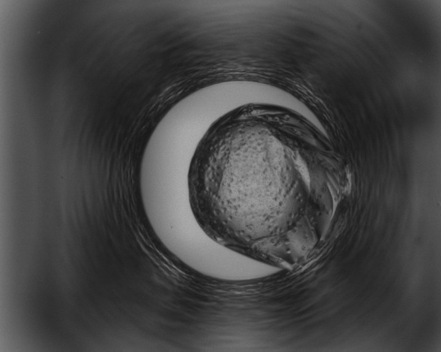 X0000052640479200507160201