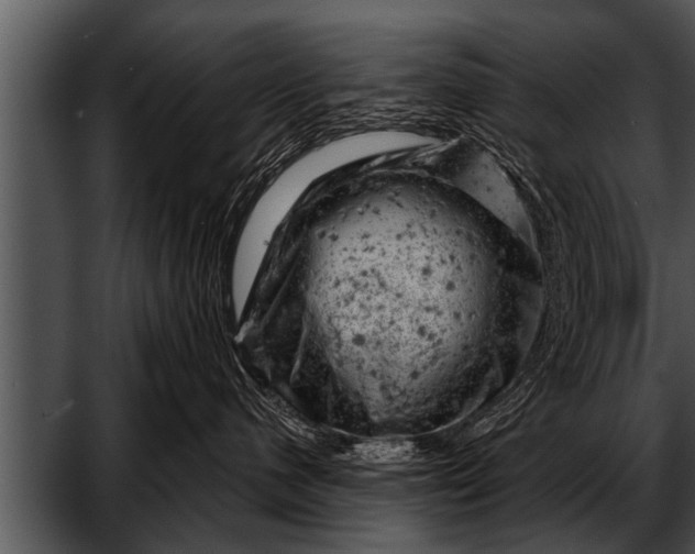 X0000052640480200507160201