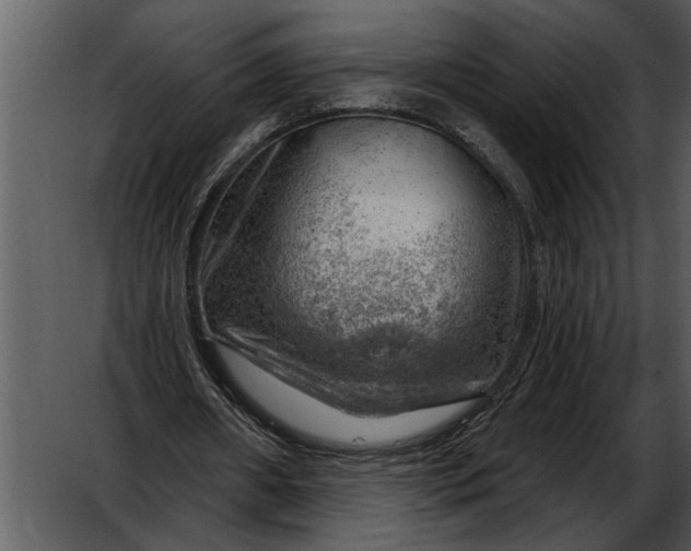 X0000052640482200507160201