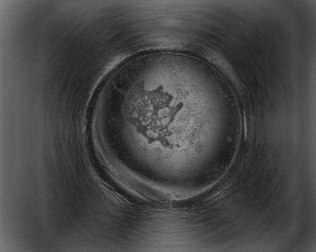 X0000052640483200507160201