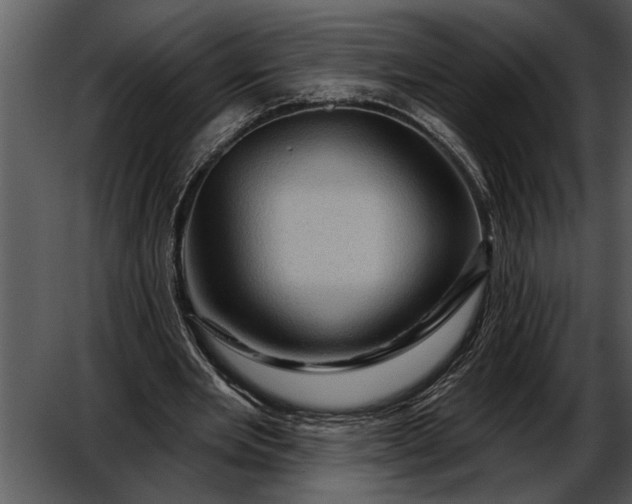 X0000052640485200507160201