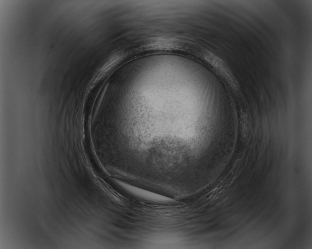 X0000052640486200507160201