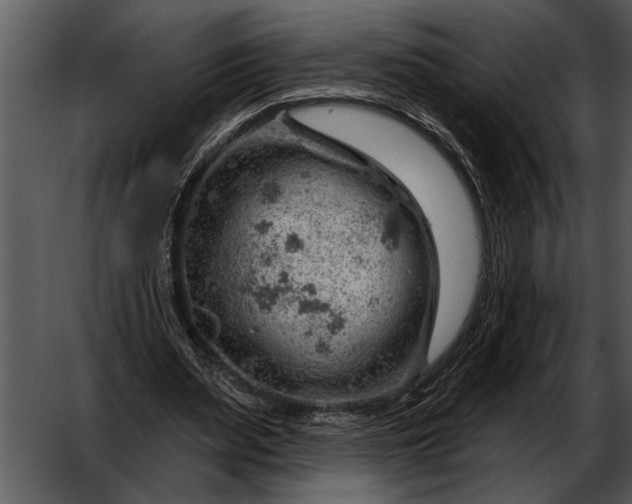 X0000052640487200507160201