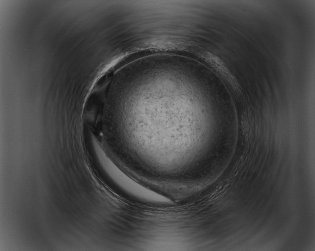 X0000052640488200507160201