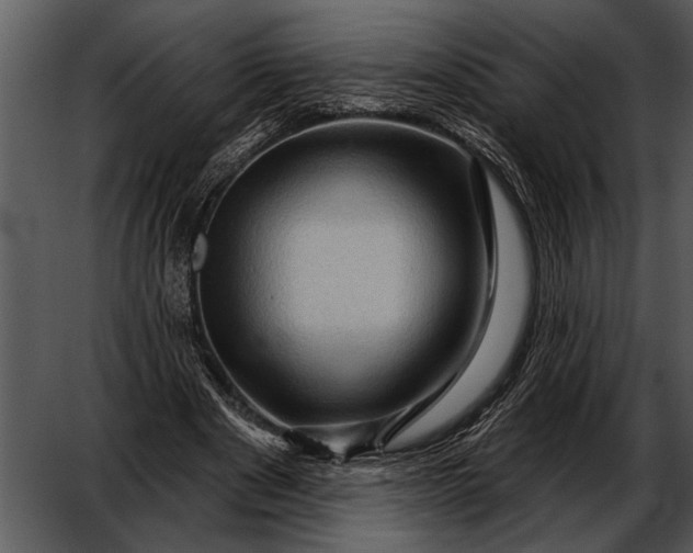 X0000052640489200507160200