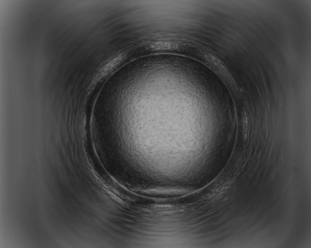 X0000052640490200507160200