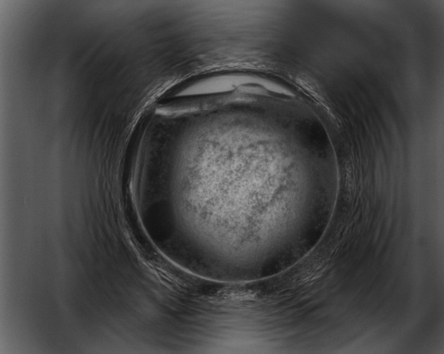 X0000052640491200507160200